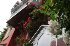 balkon-mit-rosen